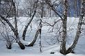 DSC_0383 (2)